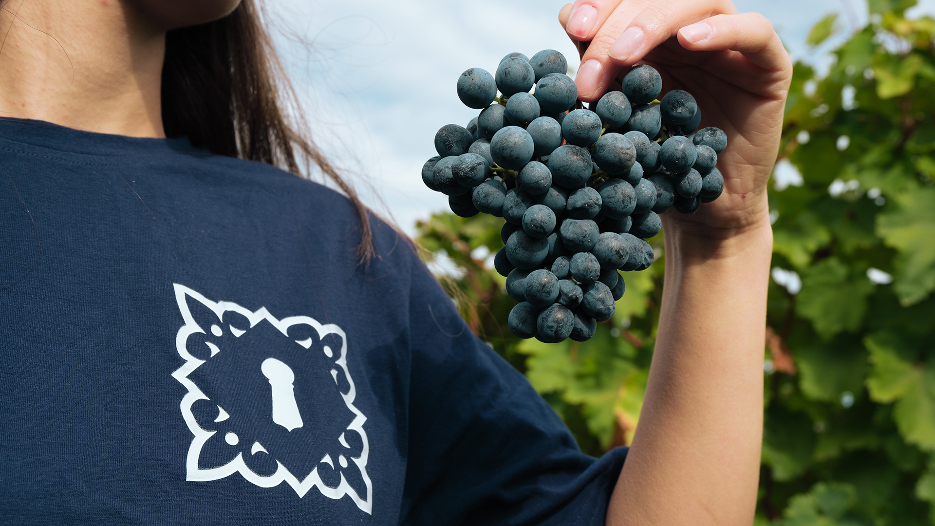 Simoneti Wine Cellar Tshirt